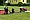 20150613_141604_DSC02140.jpg