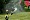 20150613_144750_DSC02153.jpg