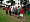 20150613_153102_093.jpg